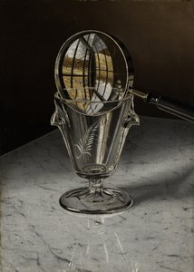 Sihirli Gözlükler, 1891